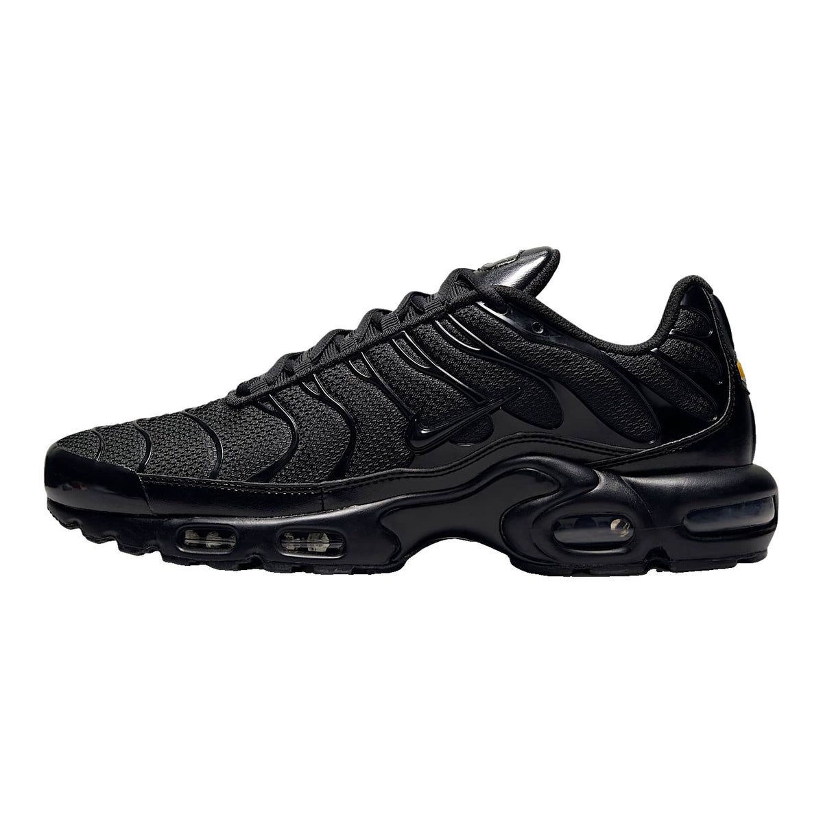 Nike Air Max Plus Homme – Noir