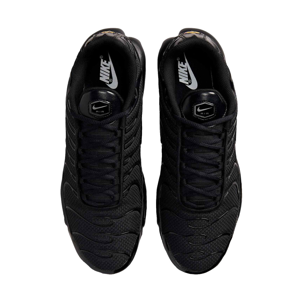 Nike Air Max Plus Homme – Noir